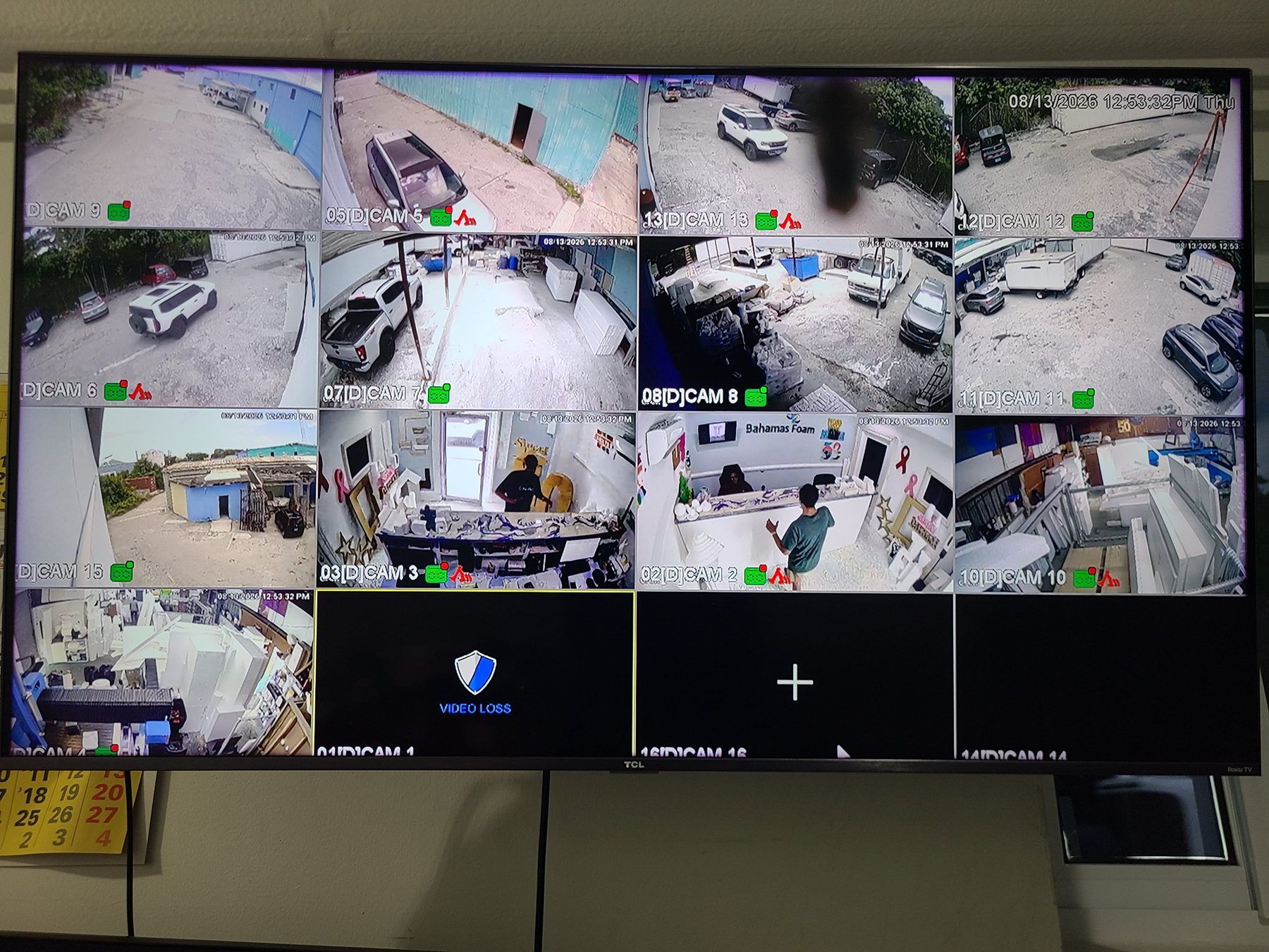 Live camera view on the NVR monitor