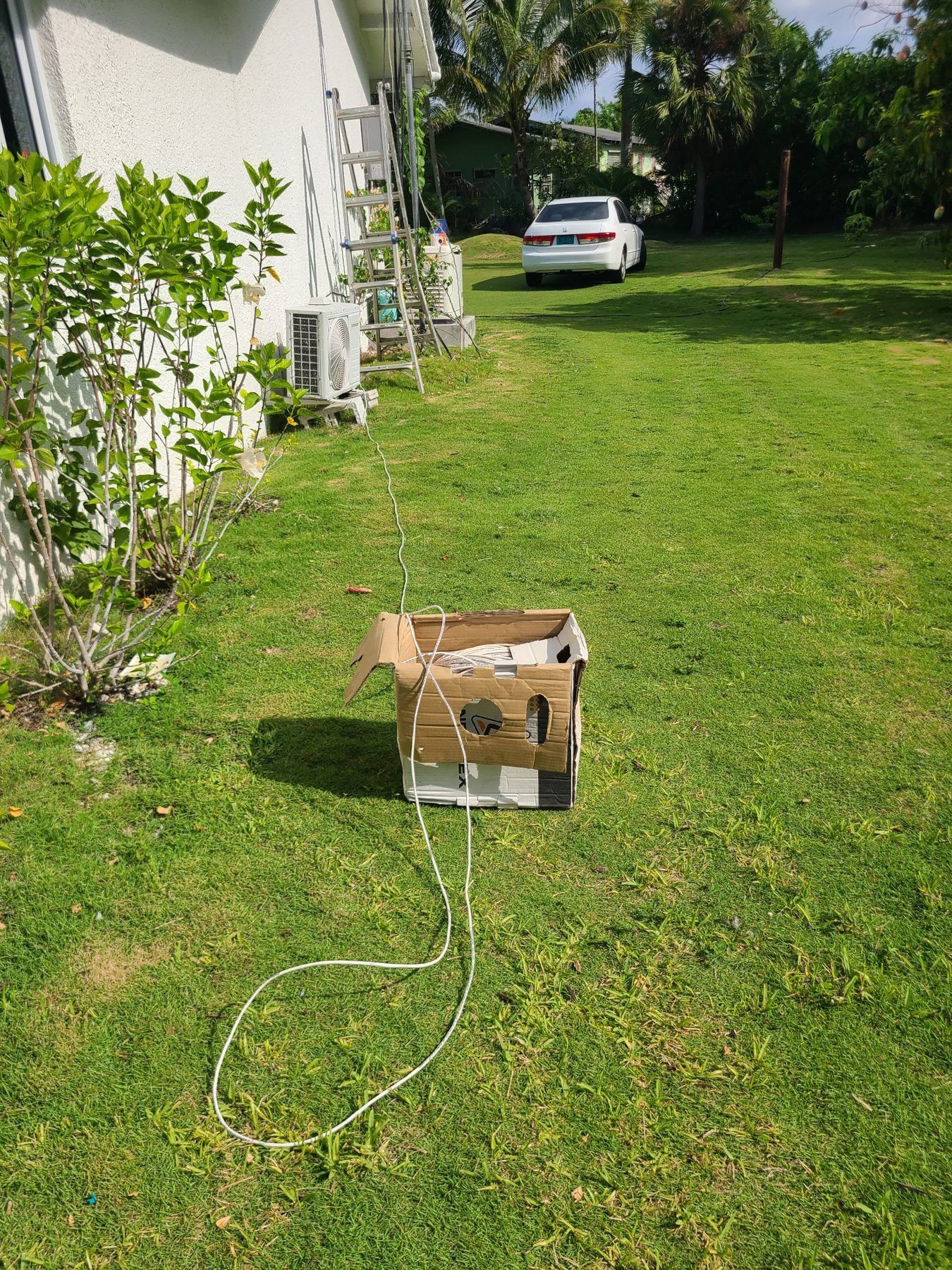 Cable across the yard